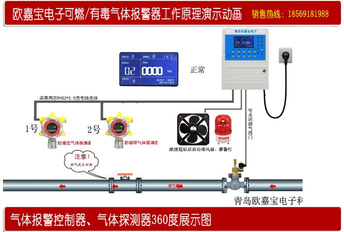 宝典资料大全2024