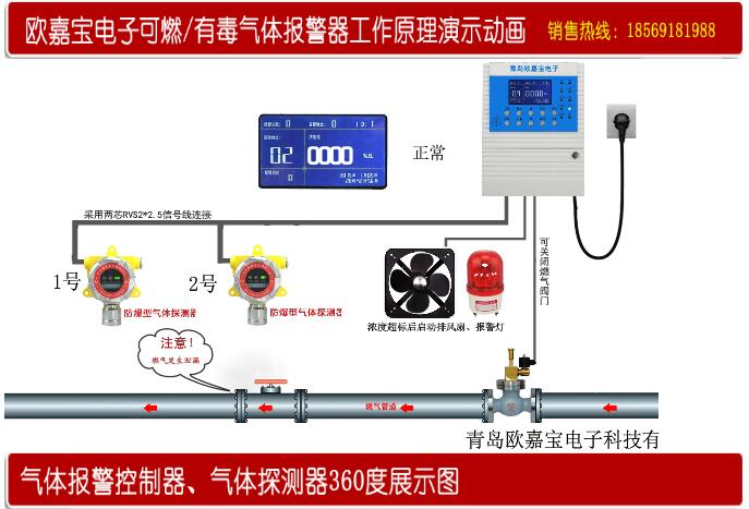 宝典资料大全2024